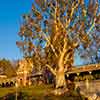 Disneyland Main Street Train Station, January 2007