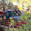 Disneyland Railroad through Frontierland, May 2008
