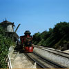 Train at the Station August 1958