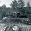 Disneyland Frontierland Station, 1950s