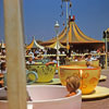 Teacups, 1955