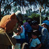 Fantasyland, July 1963