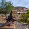 Taliesin West in Scottsdale Arizona December 2014