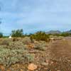 Taliesin West in Scottsdale Arizona December 2014