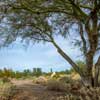 Taliesin West in Scottsdale Arizona December 2014