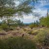 Taliesin West in Scottsdale Arizona December 2014