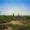 Taliesen West August 1997