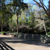 Disneyland Frontierland photo, January 2011