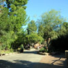 Disneyland Frontierland photo, January 2011