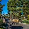 Disneyland Frontierland photo, January 2013