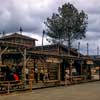 Disneyland Frontierland Miniature Horse Corral photo, 1956