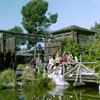 Frontierland Gate, from Disneyland Panavue Slide Set