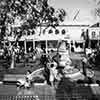 Disneyland Petrified Tree April 1964