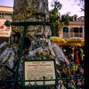 Disneyland Petrified Tree January 1969