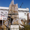 Disneyland Petrified Tree September 1958