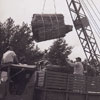 Loading of Petrified Tree