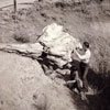 Loading of Petrified Tree