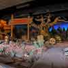 Disneyland Frontierland Shooting Exposition January 2012