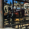 Disneyland Stagecoach photo, 1956 or 1957