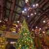 Disneyland Resort Grand Californian Hotel December 2016