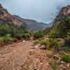 The Grand Canyon May 2016