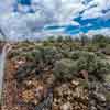 The Grand Canyon Railway, May 2016