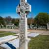 Springwood Cemetery in Greenville, April 2017