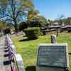 Springwood Cemetery in Greenville, April 2017