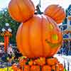 Disneyland Halloween, Mickey Mouse pumpkin, Town Square, September 2009