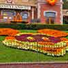 Disneyland Mickey Mouse entrance floral, Halloween, September 2011