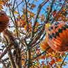 Disneyland Halloween Tree, October 2011