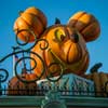 Disneyland Halloween October 2014