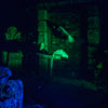 Disneyland Haunted Mansion cemetery photo, February 2013