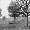 Disneyland Haunted Mansion construction November 1962