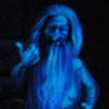 Disneyland Haunted Mansion Hitchhiking ghosts photo, May 2011