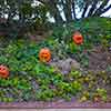 Disneyland Haunted Mansion Holiday exterior  September 2010