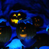 Disneyland Haunted Mansion Holiday November 2010