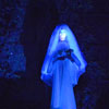 Disneyland Haunted Mansion Little Leota May 2012