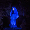 Disneyland Haunted Mansion Little Leota January 2013