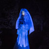 Disneyland Haunted Mansion Little Leota January 2013