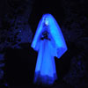 Disneyland Haunted Mansion Little Leota January 2012