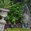 Disneyland Haunted Mansion Pet Cemetery photo, May 2015