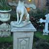 Disneyland Haunted Mansion Pet Cemetery January 2012