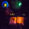 Madame Leota in the Haunted Mansion Seance Room at Disneyland February 2016