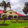 Dole Plantation photo, March 2006