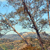 Griffith Observatory in Hollywood March 2012