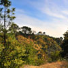 Griffith Observatory in Hollywood March 2012