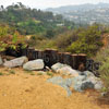 Runyon Canyon March 2012