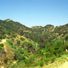 Runyon Canyon, March 2002