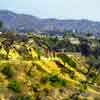 Runyon Canyon, March 2002